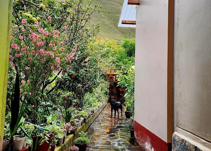 Bambu Lodge Calca