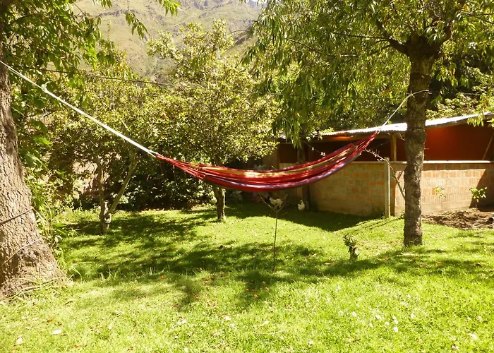Bambu Calca